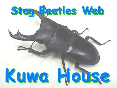 kuwa house