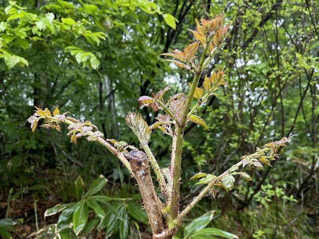 �^���m��